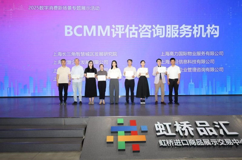 从标准到实践 - 联合麦通“帮带式”咨询成功覆盖12+领域数字化转型